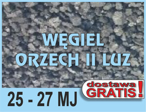 Węgiel Orzech II Ekochamp® 25-27MJ luzem - tylko Śląsk